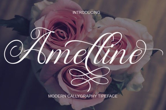 Amelline: Elevate Your Brand with Modern Calligraphy
