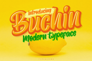 Buchin: The Sweet Script for Playful and Romantic Design Workflows