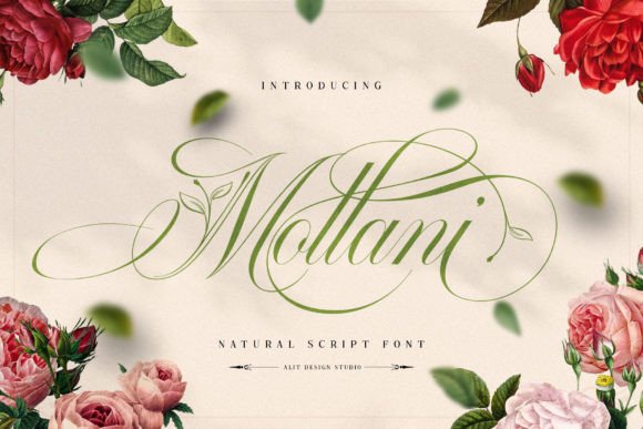 Mollani: Elegant Script Meets Nature