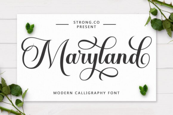 Why Maryland Script Is the Missing Piece in Your Design Toolkit