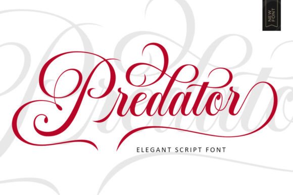 Why Predator Script Delivers Elegance for High-End Design Projects